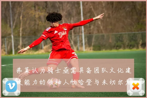 弗莱认为骑士亟需具备团队文化建设能力的领袖人物哈登与米切尔无法胜任